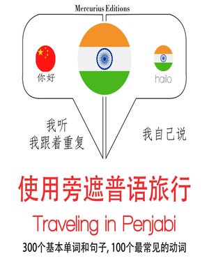 cover image of Panjabi中的旅行單詞和短語